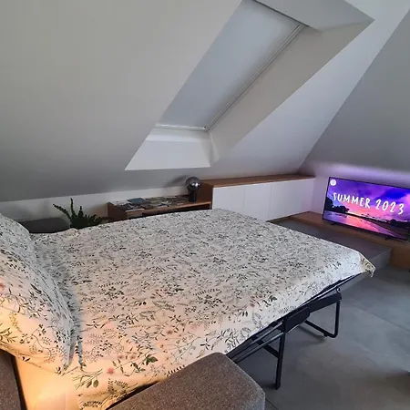 Relax & Enjoy Lublaň
